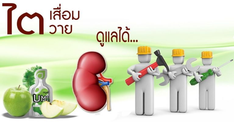 ไตเสื่อม-ไตวาย-ฟอกไต-ไตเรื้อรัง-กินอะไรดี-ผลไม้-ผัก-อาหารเสริม-อะไรดี-เอเจล-umi-agel-ไตเสื่อม-ยารักษาไต-อาหารเสริม-บำรุงไต-อาการ-โรคไต-หายได้ไหม-อาการ-โรคไต-รักษาได้ไหม-รักษาหายไหม-ยารักษาโรคไต-umi-เห็ดหลินจือแดง-ไข่ขาวผง-อัลบูมิน