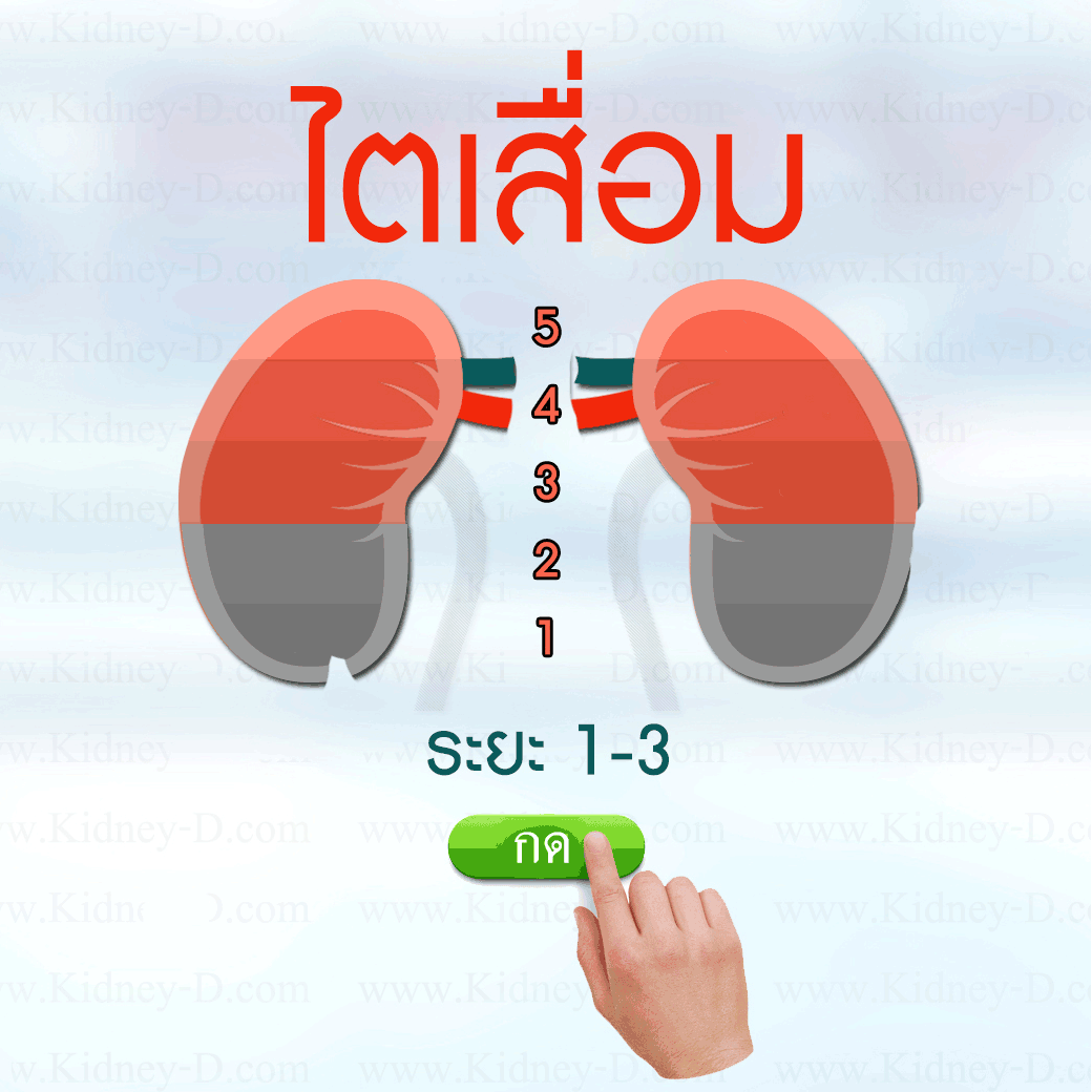 ไตเสื่อม-ไตวาย-ฟอกไต-ไตเรื้อรัง-กินอะไรดี-ผลไม้-ผัก-อาหารเสริม-อะไรดี-เอเจล-umi-agel-ไตเสื่อม-ยารักษาไต-อาหารเสริม-บำรุงไต-อาการ-โรคไต-หายได้ไหม-อาการ-โรคไต-รักษาได้ไหม-รักษาหายไหม-ยารักษาโรคไต-umi-เห็ดหลินจือแดง-ไข่ขาวผง-อัลบูมิน-power-gel-บำรุงร่างกาย